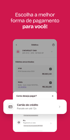 Zapay IPVA 2025, Licenciamento screenshot 4