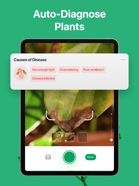 PictureThis - Plant Identifier screenshot 13