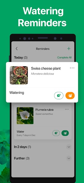 PictureThis - Plant Identifier screenshot 20