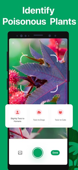 PictureThis - Plant Identifier screenshot 21