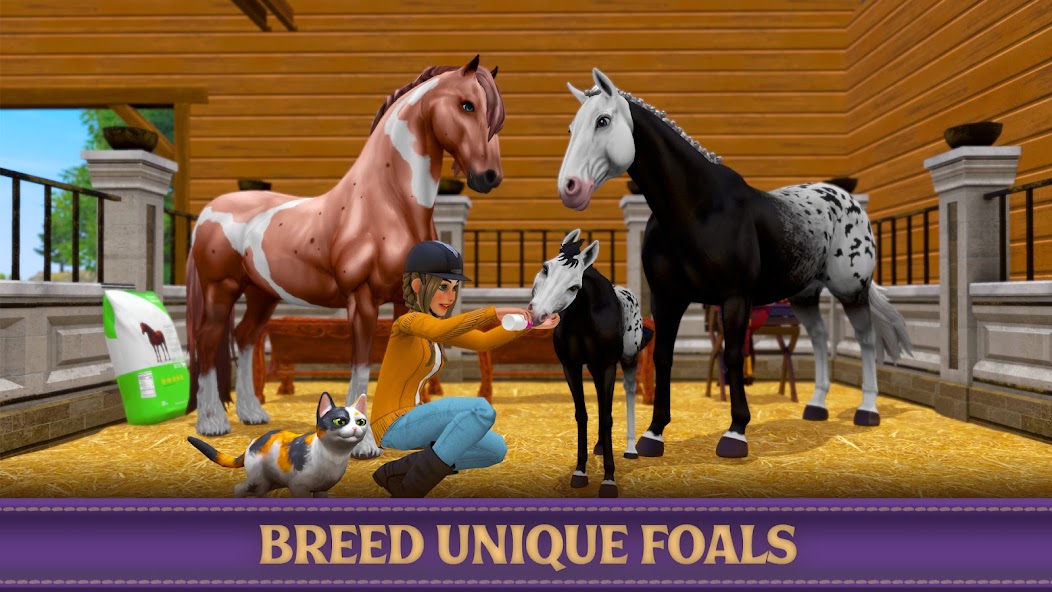 Star Equestrian - Horse Ranch screenshot 1