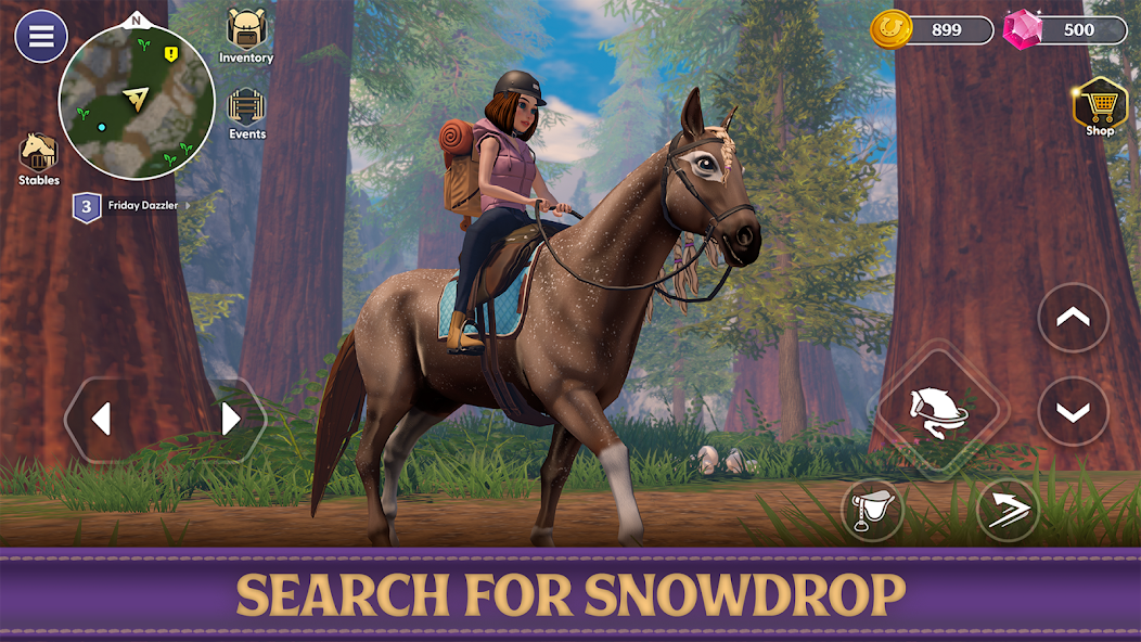 Star Equestrian - Horse Ranch screenshot 20
