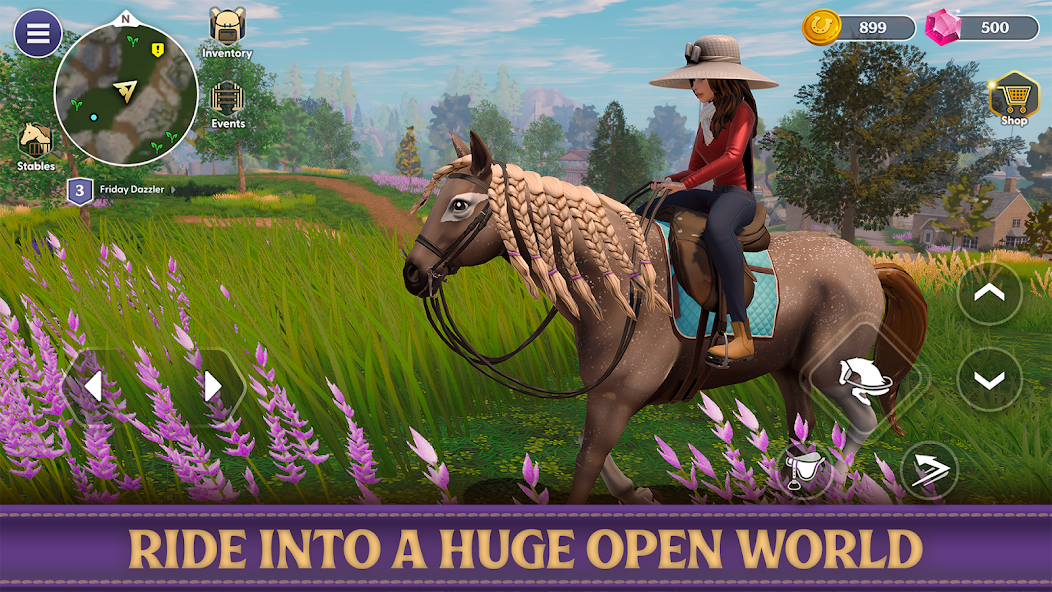 Star Equestrian - Horse Ranch screenshot 26