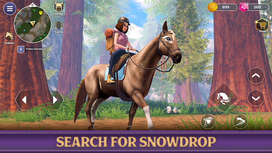 Star Equestrian - Horse Ranch screenshot 28
