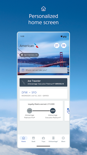 American Airlines screenshot 2