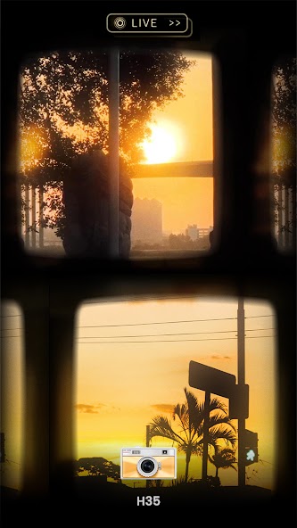 OldRoll - Vintage Film Camera screenshot 5