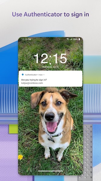 Microsoft Authenticator screenshot 13
