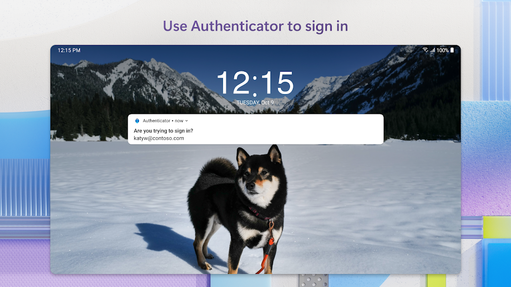 Microsoft Authenticator screenshot 19