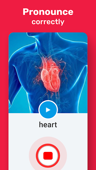 Learn English Vocabulary screenshot 22