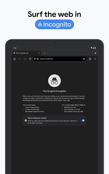 Chrome Beta screenshot 6