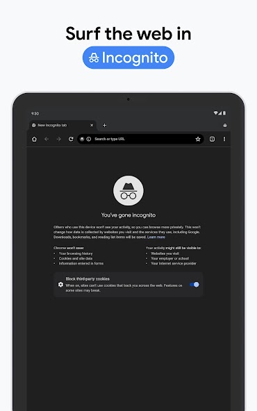 Chrome Beta screenshot 15