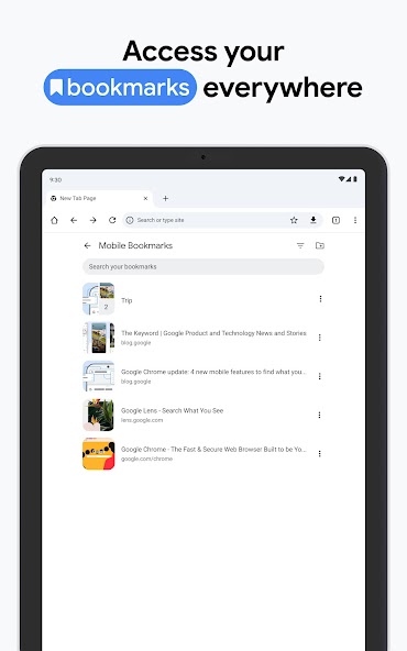 Chrome Beta screenshot 17