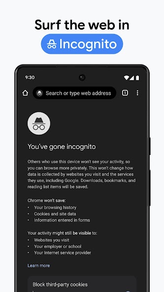 Chrome Beta screenshot 29