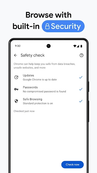 Chrome Beta screenshot 30