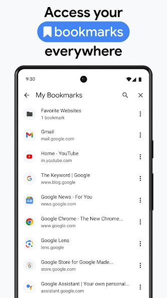 Chrome Dev screenshot 23