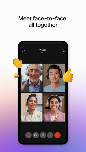 Webex screenshot 7