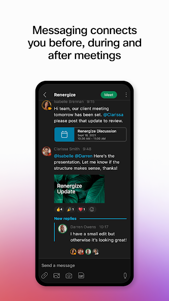 Webex screenshot 9