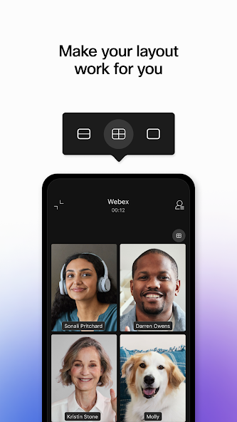 Webex screenshot 11