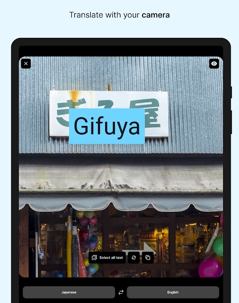 DeepL Translate screenshot 2