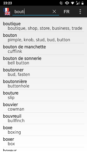 French - English offline dict. screenshot 1