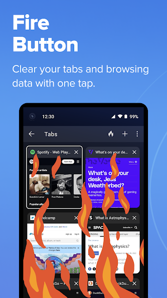 DuckDuckGo Browser, Search, AI screenshot 7