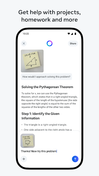 Meta AI screenshot 6