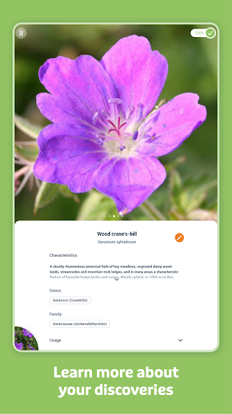 Flora Incognita screenshot 2