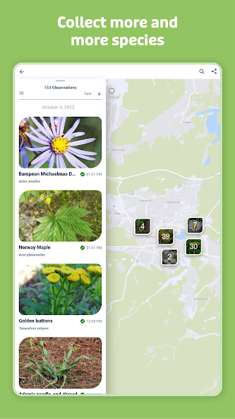 Flora Incognita screenshot 3