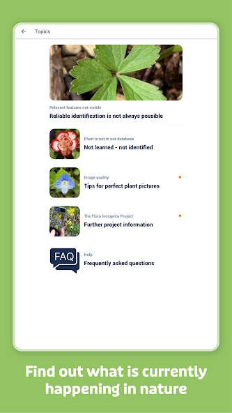 Flora Incognita screenshot 4