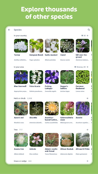 Flora Incognita screenshot 5