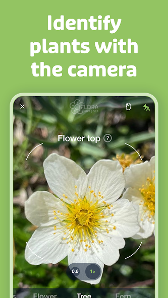 Flora Incognita screenshot 7