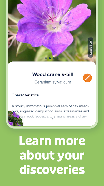 Flora Incognita screenshot 8