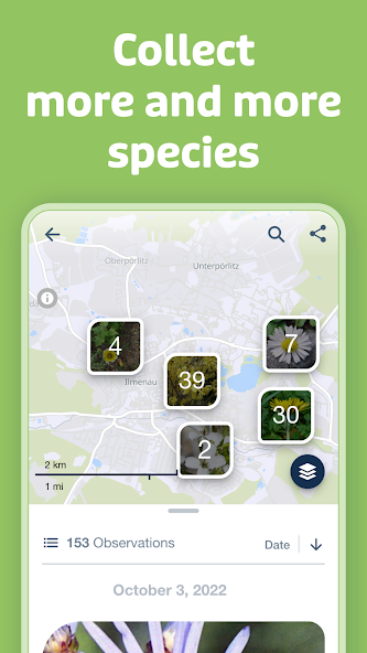 Flora Incognita screenshot 9