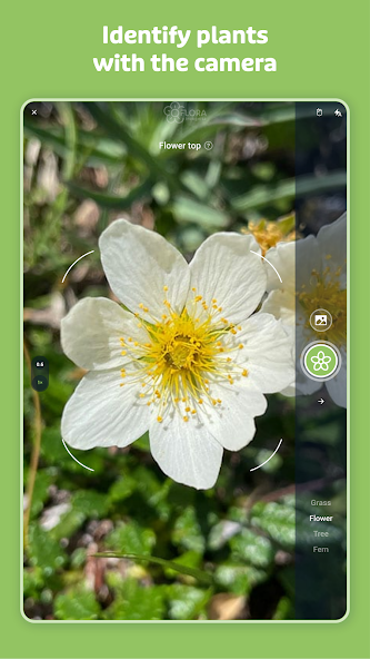 Flora Incognita screenshot 14