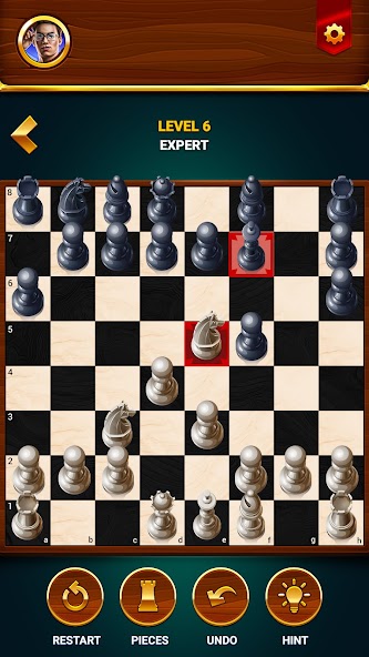 Chess - Offline Board Game screenshot 15