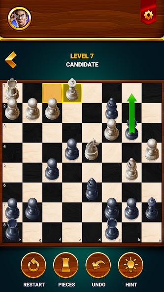 Chess - Offline Board Game screenshot 17