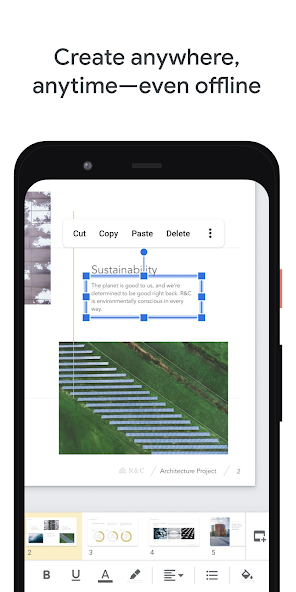 Google Slides screenshot 5