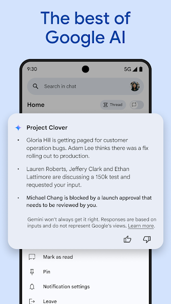 Google Chat screenshot 12