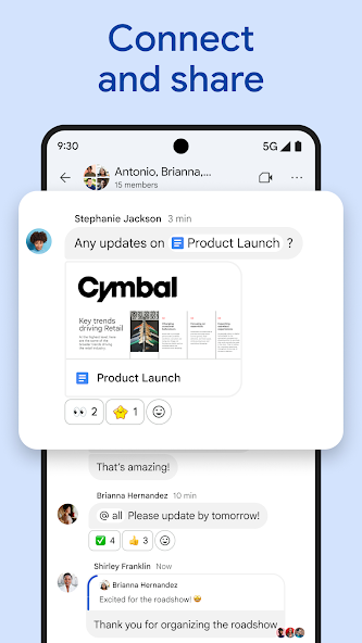 Google Chat screenshot 21