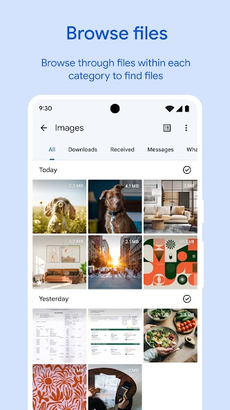 Files by Google screenshot 2
