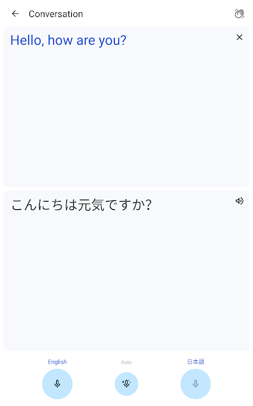 Google Translate screenshot 2