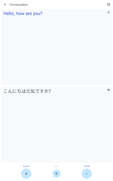Google Translate screenshot 7