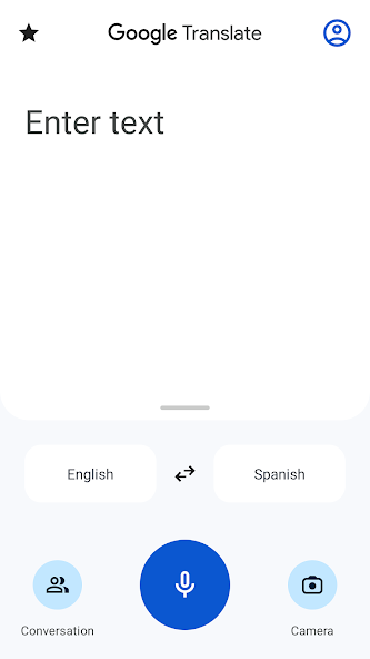 Google Translate screenshot 9