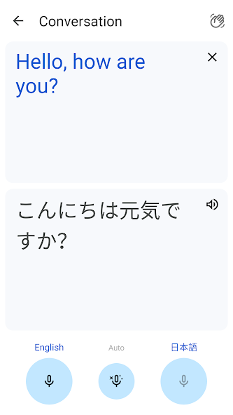 Google Translate screenshot 11