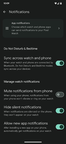 Google Pixel Watch screenshot 6