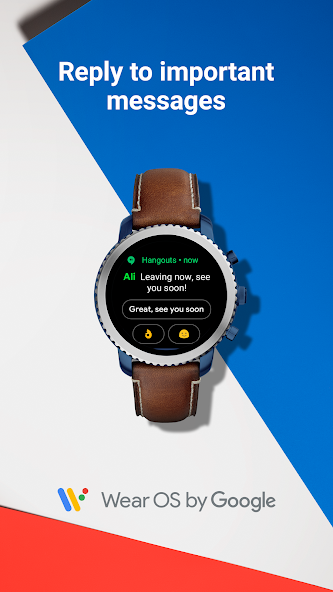 Wear OS by Google Smartwatch screenshot 14