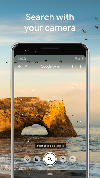 Google Lens screenshot 1