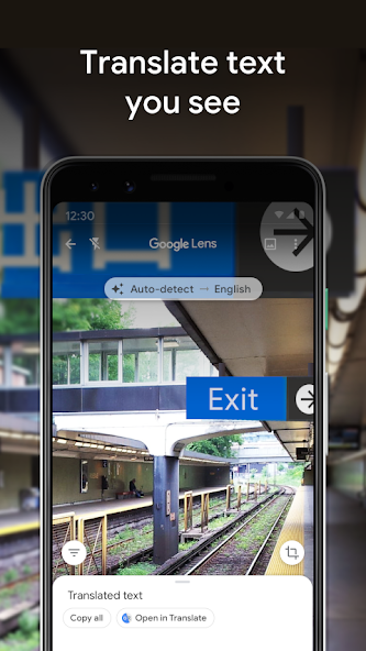 Google Lens screenshot 3