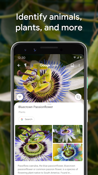 Google Lens screenshot 4