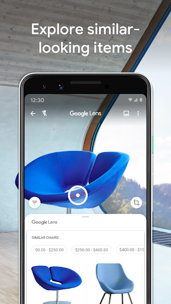 Google Lens screenshot 6